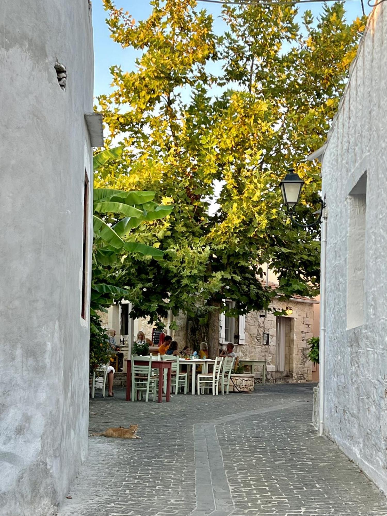 Villa Metapothia Gavalochori Crete Exterior foto